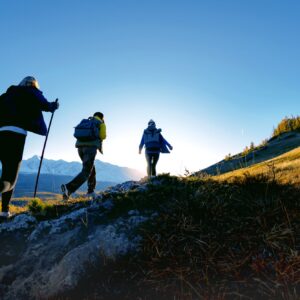 (テスト6)コネクタブルーのマーケティング支援の評判を徹底検証