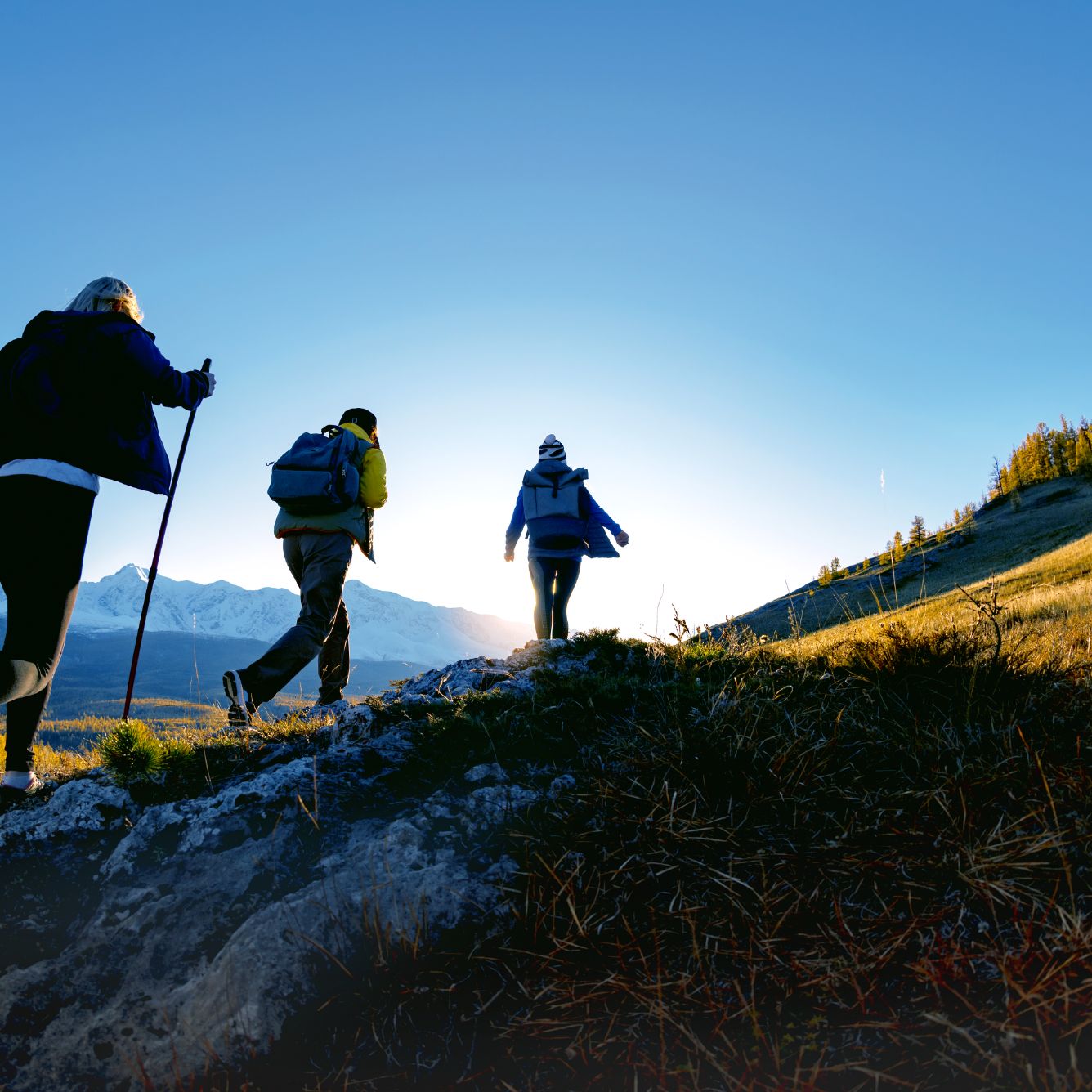 4鉄鋼業界向けEPR導入支援｜構想策定からPMO・業務改革まで一気通貫でプロジェクト成功を実現